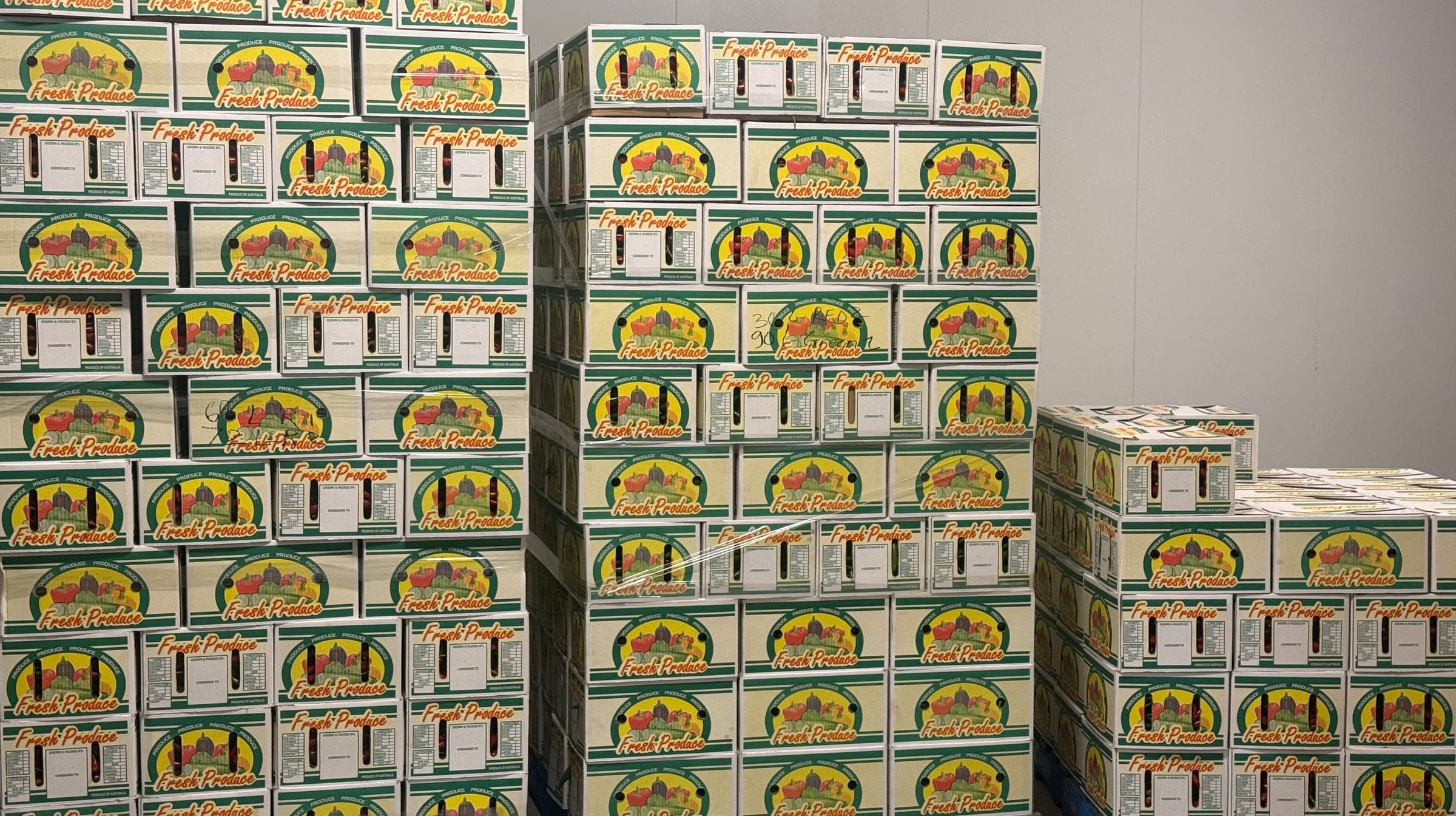 Pallets of packed chilli cartons stacked to the ceiling in the farm coolroom