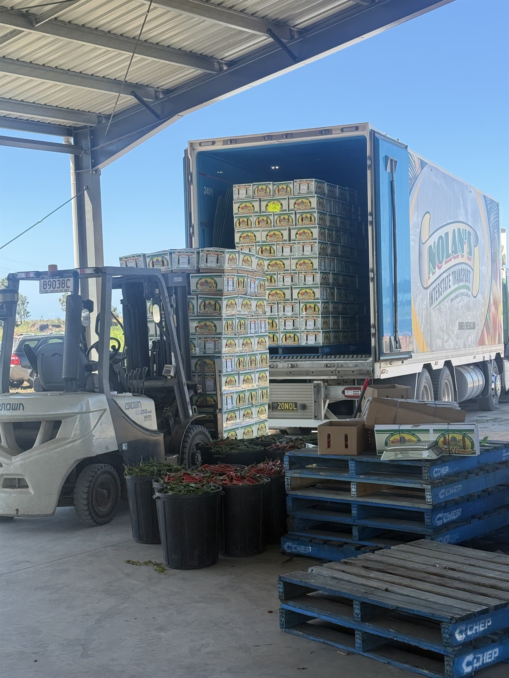 Pallets of chilli cartons stacked in the packing shed beside a forklift and a loaded trailer
