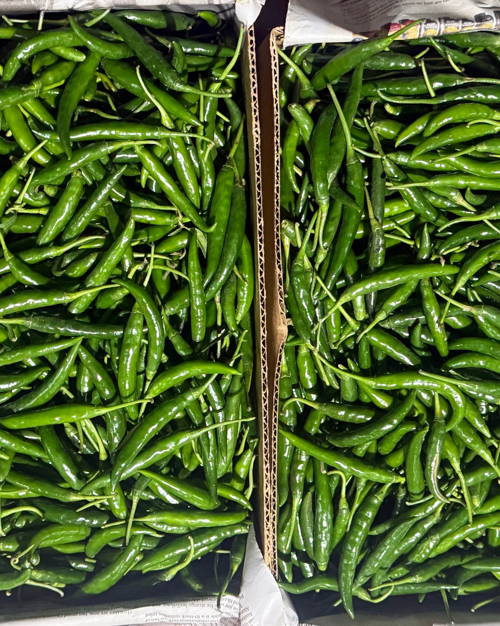 Two open cartons of long slender green Thai chillies packed loose, ready for despatch