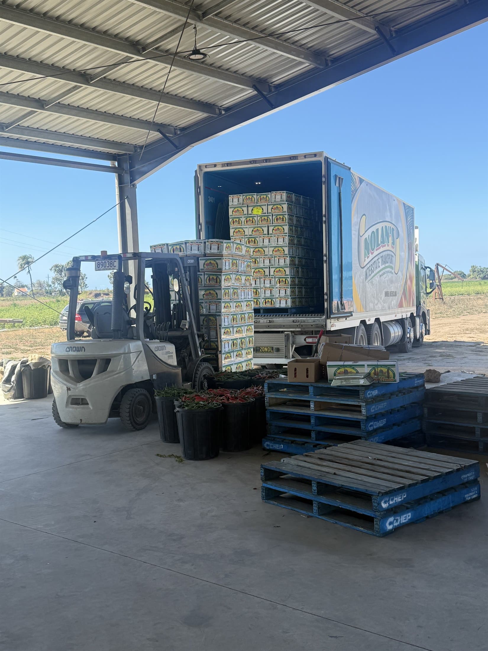 A refrigerated trailer being loaded with pallets of chilli cartons by forklift